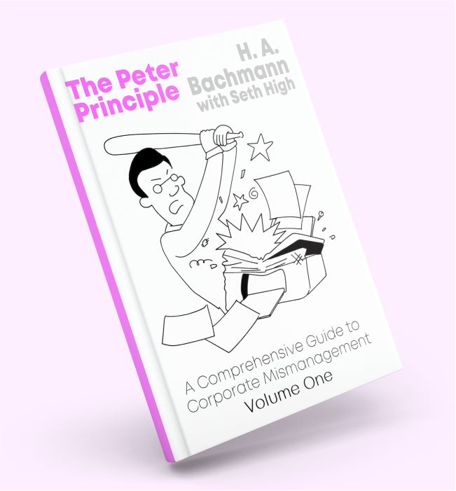 A Comprehensive Guide to Corporate Mismanagement (Volume One)